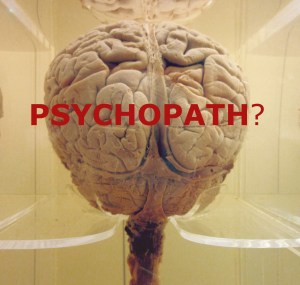 Brain